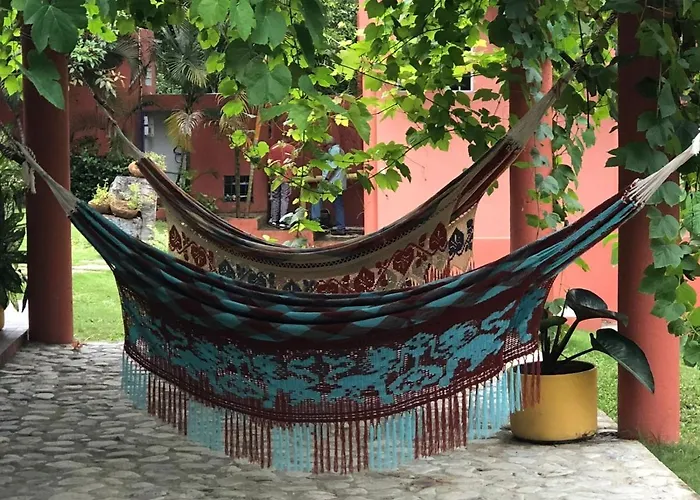 Color Hostel Palomino