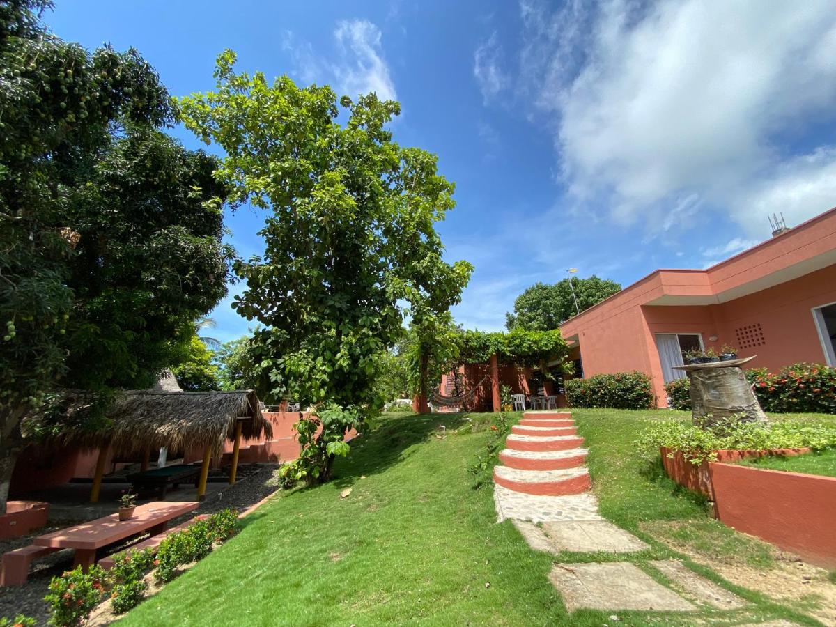 Color Hostel *